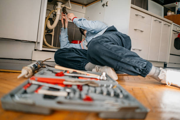 Best Affordable Plumber Near Me  in Calumet Park, IL