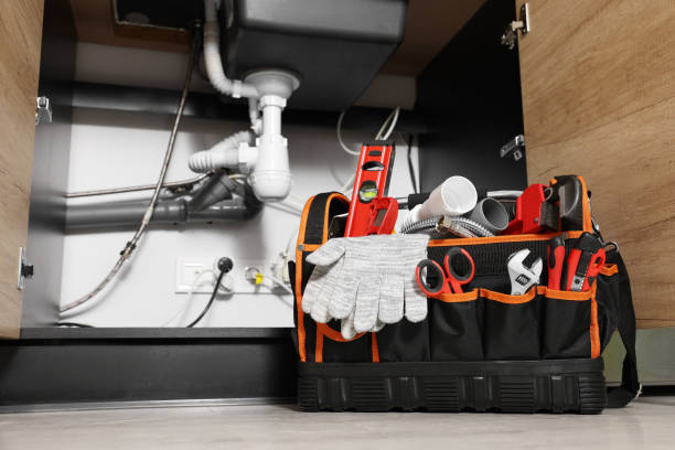 Best Plumbing Inspection Services  in Calumet Park, IL
