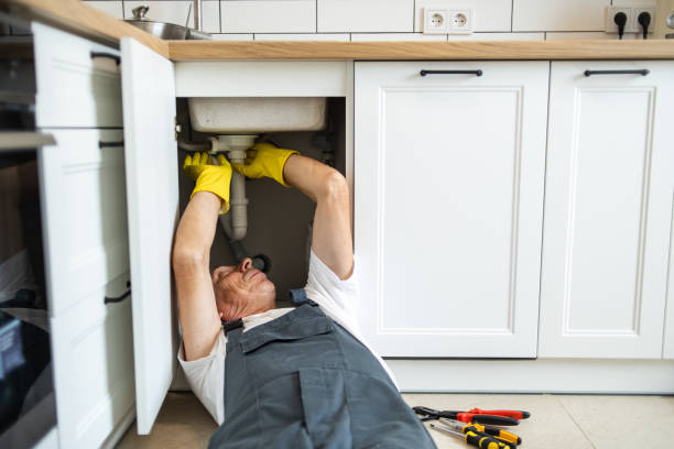 Best Clogged Drain Plumber  in Calumet Park, IL