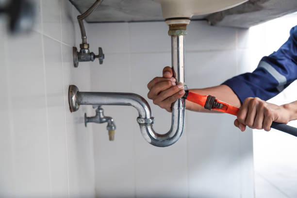 Best Drain Cleaning Services  in Calumet Park, IL